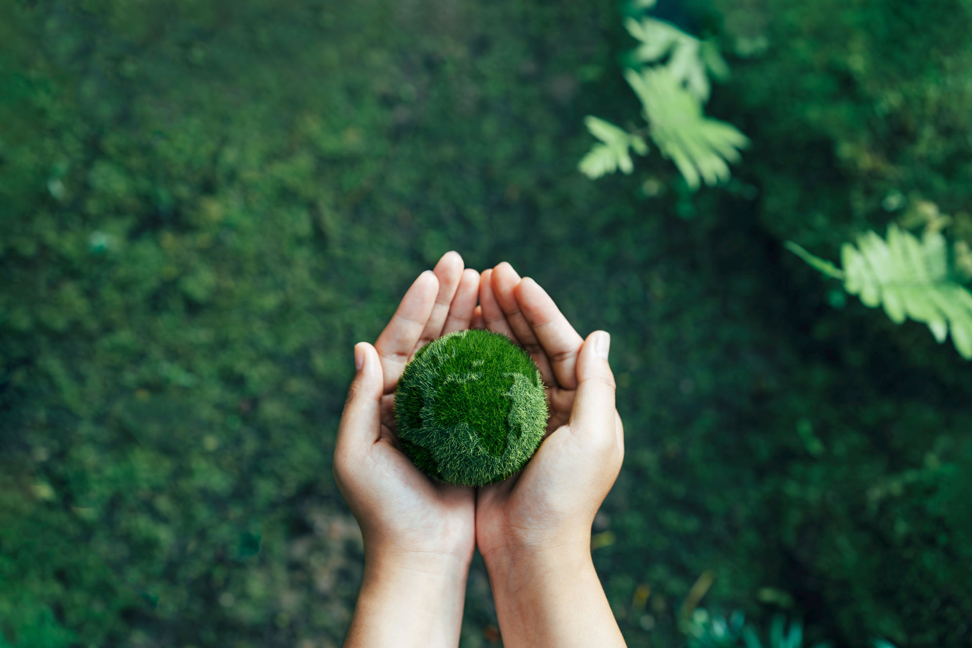 For the love of the planet