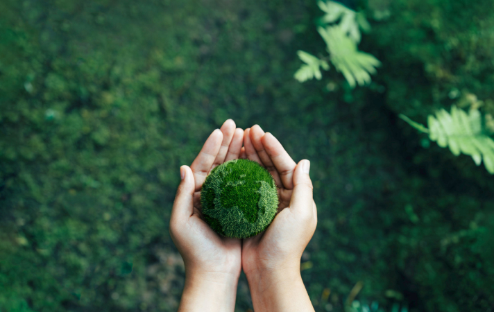 Sustainability