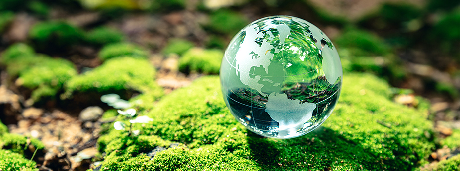 For the love of the planet